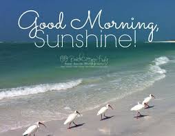 Good Morning Sea Image Wishes Quotes Greeting Cards Sayings Good Morning Sunshine Morning Quotes Good Night Quotes I can choose which it shal. good morning sea image wishes quotes