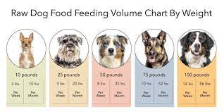 The purchase of new production line enabled us to launch a new range of products for both cat & dog. All About Raw Dog Food Darwin S Natural Pet Products Raw Dog Food Recipes Dog Food Recipes Raw Dog Food Diet