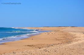 The tides are entirely responsible for the water circulation inside the lagoon. Explore Ria Formosa Natural Park Algarve S Best Kept Secret