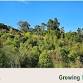 Growing native forests workshop – Puramāhoi - Puramāhoi Hall, Puramahoi Hall 602 Takaka-Collingwood Hwy Event Image
