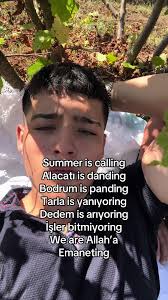 Bacimi Summer Is Calling