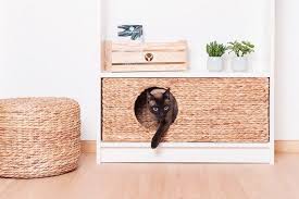 Cat Baskets For Ikea Billy Regal Ikea Billy Ikea Hack Cat Basket