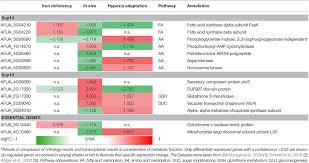 Frontiers Systematic Identification Of Anti Fungal Drug