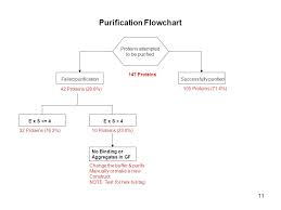Workflow Of The Manual Purification Of N Nc5 Enriched