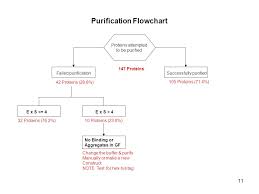 workflow of the manual purification of n nc5 enriched