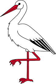 Wie gut dass ratten und spinnen auf dem speiseplan stehen. Bocian Bird Crafts Baby Clip Art Spring Crafts