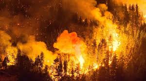 Incêndio na Patagônia já atingiu 3,5 mil hectares; milhares de pessoas foram evacuadas