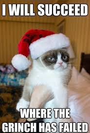 100+ funny grumpy cat memes about the famous internet feline. Top 25 Grumpy Cat Memes Cattime