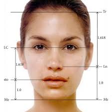 We did not find results for: Lengths Of The Face And Set Of Ideal Proportions Download Scientific Diagram