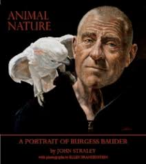 Design — Sitka Willow