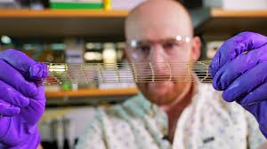 University of Colorado Boulder