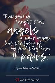  95 Loss Of A Pet Quotes Ideas In 2021 Animal Quotes Pet Grief Losing A Pet