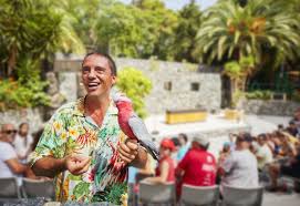 Aves Del Paraiso Portaventura World
