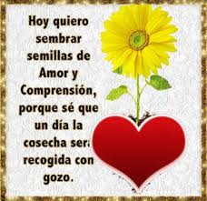 Suenos De Amor Y Magia Sembrando Semillas De Amor Youth Ministry Seeds