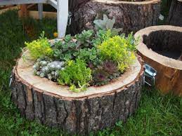 Maybe you would like to learn more about one of these? 21 Super Easy Wood Log Garden Decorations That You Can Do For Free Succulent Planter Diy Wood Succulent Planter Diy Planters