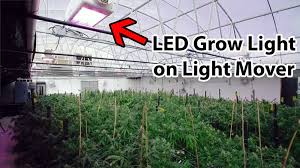 Free s/h on lighting orders over $49. Do My Cannabis Plants Need Side Lighting Grow Weed Easy