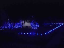 Miniature Led Christmas Lights Led Christmas Lights Christmas Lights Lights