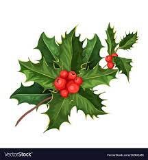 Vector Realistic Hand Drawn Holly Ilex With Berry And Leaves Mistletoe Branch Twig Christmas New Year Holid Christmas Holly Christmas Christmas Background