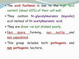 Acid Fast Bacilli Ppt Download