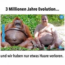 Evolution Witzig Fetter Mann Und Orang Utan Affe Witzemaschine Mannen