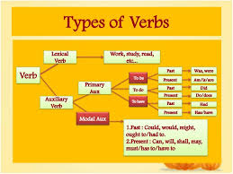 ما هو الفرق الفعل الرئيسي الأفعال المساعدة الأفعال الشاذة 3rabon