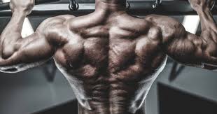 27 septembre 2019 championnats du monde: Optimal Frequency Training For Hypertrophy Breaking Muscle