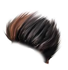 Hairstyle pic editor hairstyles by unixcode. Png Hairstyle For Men