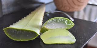 See full list on wikihow.com Aloe Vera Gel How To Cut And Extract The Gel From An Aloe Vera Leaf Verdeaurora