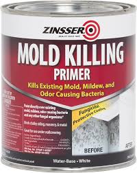 New paint needs a clean, dry surface to adhere to. Rust Oleum 276087 Mold Killing Primer Quart Amazon Com