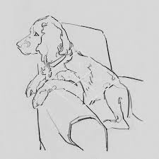 Waiting For Something To Happen Web Watermark Jpg Dog Art Animal Drawings Pet Portraits