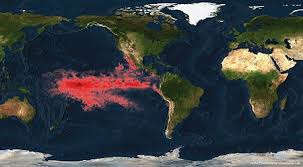 Consulter le bulletin météo avant d'aller faire de la voile. El Nino Le Retour D Un Monstre Meteo Terra Projects