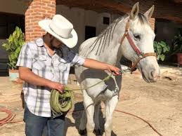 Recaudación de fondos de Paola Cisneros: HELP US REPATRIATE LALO'S BODY