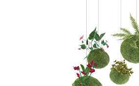15 hours ago · the official video for rick astley's never gonna give you up, which was released 34 years ago this week, now has over 1 billion views on youtube.rick astley's official music video for never gonna give you up. Come Realizzare Un Kokedama Con Una Stella Di Natale Ohga