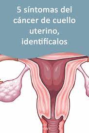 Obtén más información sobre los síntomas, las causas, la prevención y el tratamiento. Cancer De Cuello De Matriz Sintomas De Un Tumor Canceroso En El Utero