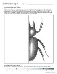 Finish The Drawing Worksheets Insects 10 Worksheets Value Contour Lines Finish The Drawing Worksheets Contour Line Art Worksheets