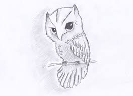 How To Draw An Owl In 7 Simple Steps Step By Step Lesson Owls Drawing Owl Drawing Simple Owl Sketch