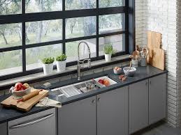 C) characteristic of eukaryotic but not prokaryotic organisms. 3 Best Types Of Kitchen Sink Materials On The Market Today Green Art