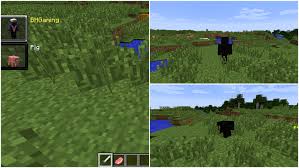A morph mod that actually works. Morph Mod For Minecraft 1 11 2 1 10 2