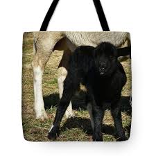 Lamb Licking Lips Tote Bag
