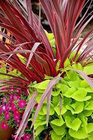 Pin By The Curated Carrot Handmade On Backyard Landscaping Front Yard Plants Garden Containers Flower Pots