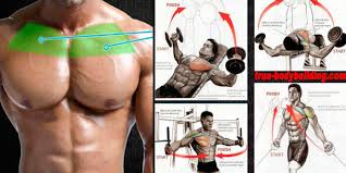If you want to achieve that fully armoured look, focusing on your upper chest is unavoidable. Best Upper Chest Workout For Explosive Muscle Gains Chest Workout Chest Workouts Best Chest Workout