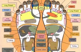 Foot Reflexology Muscle Therapy And Acupuncture