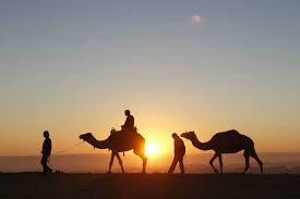 Bookings Are Going To Vary A Lot But For The Day Trips You Need To Make The Booking Beforehand These Packages Are Being Desert Tour India Gate Tours