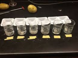 Pin On Science Teaching