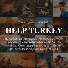 Fires burning in parched conditions and strong winds in turkey have left eight people dead and forced residents and tourists to flee vacation resorts in boats. 4nuscsptk Sqam