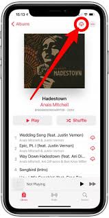 If this is your situation, show your library list using the songs view (so that you get a plain list with columns). How To Download All Your Songs In Apple Music To Your Iphone Ios 15