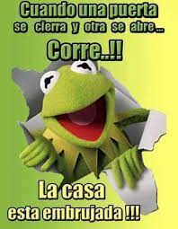 76 Images Of Humor For Whatsapp With Funny Phrases And Funny Memes Funny Spanish Memes Funny Phrases Memes Mexicanos