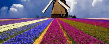 La ragazza dei tulipani, vermeer e quella storia vera | hotcorn.com amsterdam e vermeer, christoph waltz, dane dehaan e il libro scritto da deborah moggach: Stampa Viaggio