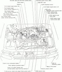 It is very important not to forget to check injector pulse, this is for all vehicles with fuel injectors. 2001 Nissan Pathfinder Engine Diagram Auto Wiring Diagram Period