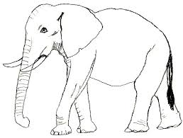 Bilder zum ausmalen, jedes ausmalbild und kostenlose. 18 Schoene Ausmalbilder Elefant Dekoking Com Elefanten Skizze Schone Ausmalbilder Ausmalen